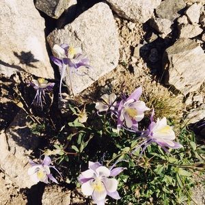 Meet your Posher, Lia